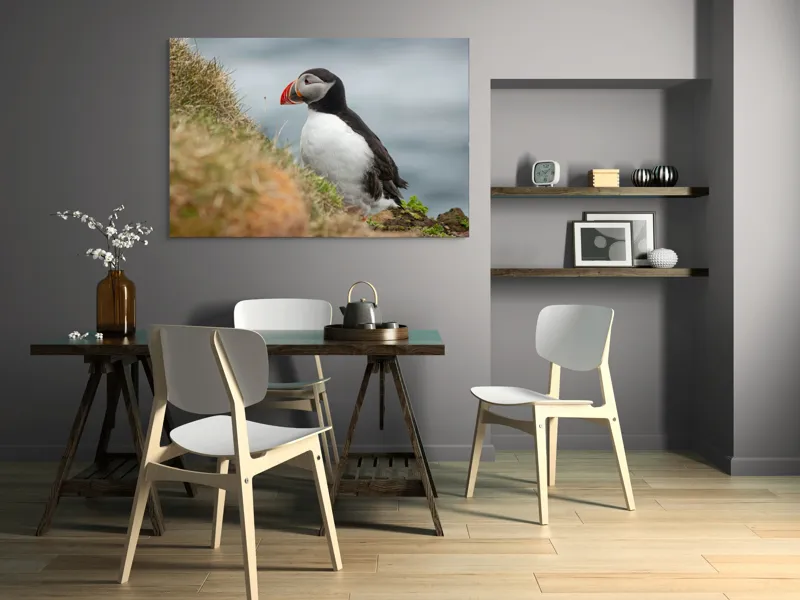 Tablou Canvas, "Papagal de mare pe stâncă verde", Pinguin, Iarbă, Clif, Ocean, Cioc, Aripi, Blană., 150 x 100 cm – poza 5