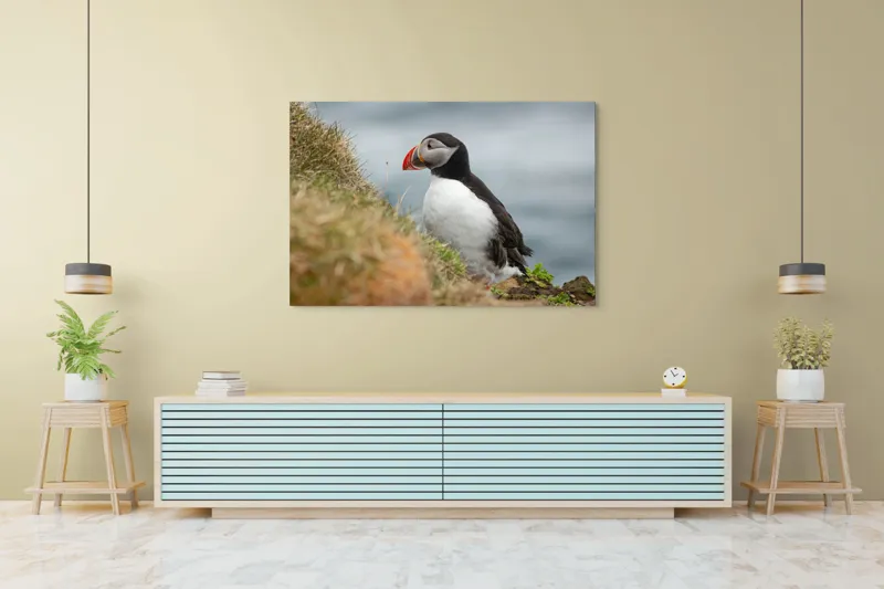 Tablou Canvas, "Papagal de mare pe stâncă verde", Pinguin, Iarbă, Clif, Ocean, Cioc, Aripi, Blană., 150 x 100 cm – poza 6
