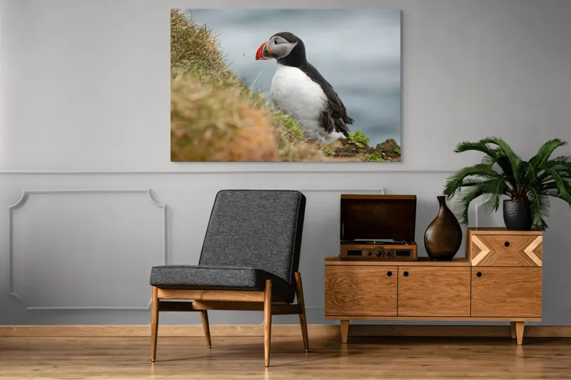 Tablou Canvas, "Papagal de mare pe stâncă verde", Pinguin, Iarbă, Clif, Ocean, Cioc, Aripi, Blană., 150 x 100 cm – poza 8