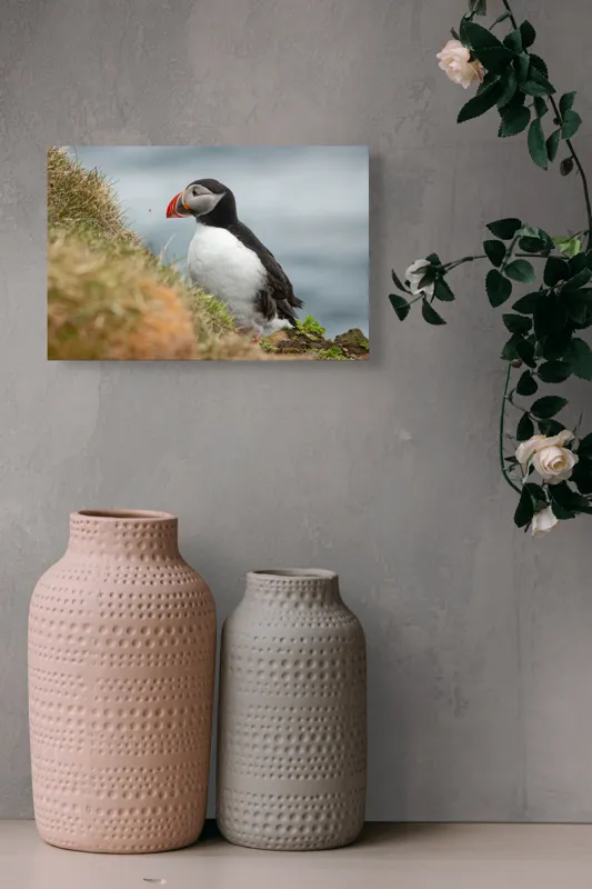 Tablou Canvas, "Papagal de mare pe stâncă verde", Pinguin, Iarbă, Clif, Ocean, Cioc, Aripi, Blană., 39 x 26 cm – poza 4