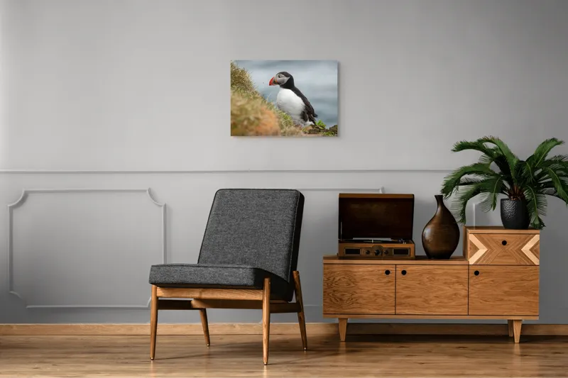 Tablou Canvas, "Papagal de mare pe stâncă verde", Pinguin, Iarbă, Clif, Ocean, Cioc, Aripi, Blană., 70 x 50 cm – poza 4