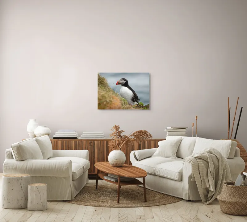 Tablou Canvas, "Papagal de mare pe stâncă verde", Pinguin, Iarbă, Clif, Ocean, Cioc, Aripi, Blană., 70 x 50 cm – poza 6