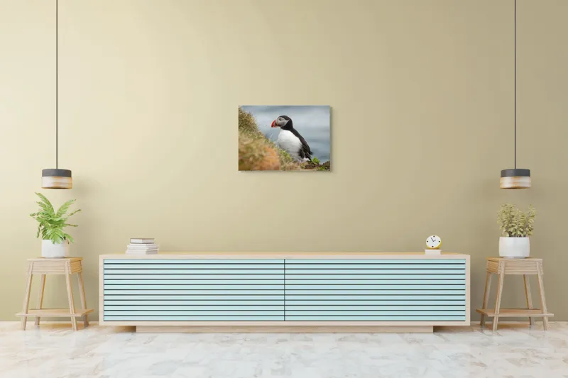 Tablou Canvas, "Papagal de mare pe stâncă verde", Pinguin, Iarbă, Clif, Ocean, Cioc, Aripi, Blană., 70 x 50 cm – poza 7