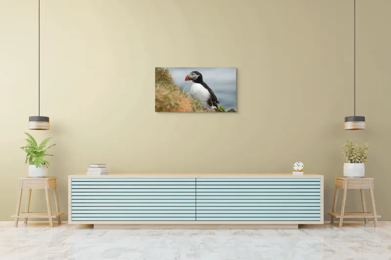 Tablou Canvas, "Papagal de mare pe stâncă verde", Pinguin, Iarbă, Clif, Ocean, Cioc, Aripi, Blană., 90 x 50 cm – poza 5
