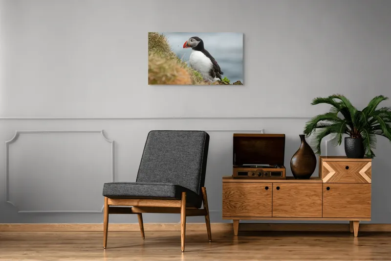 Tablou Canvas, "Papagal de mare pe stâncă verde", Pinguin, Iarbă, Clif, Ocean, Cioc, Aripi, Blană., 90 x 50 cm – poza 6