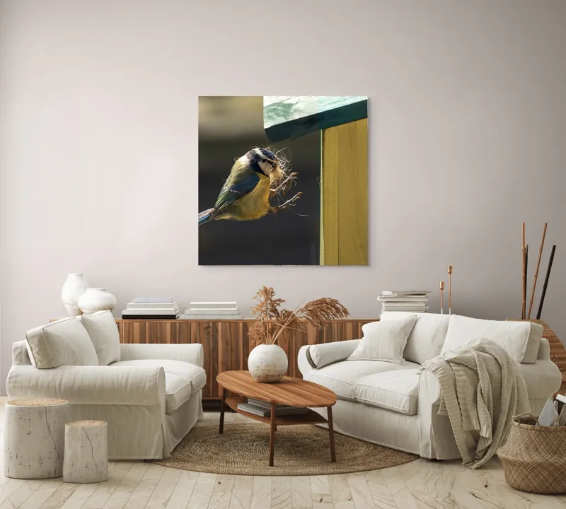 Tablou Canvas, "Pasărea își construiește cuibul perfect", Pene, Zbor, Cuib, Culori, Pasare, Constructie, Natura, Prindere, 100 x 100 cm – poza 3