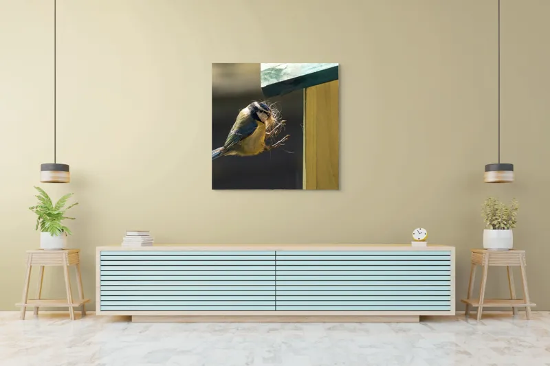 Tablou Canvas, "Pasărea își construiește cuibul perfect", Pene, Zbor, Cuib, Culori, Pasare, Constructie, Natura, Prindere, 100 x 100 cm – poza 5