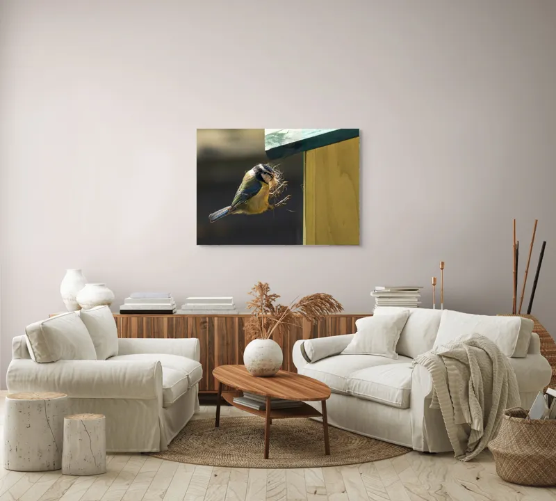 Tablou Canvas, "Pasărea își construiește cuibul perfect", Pene, Zbor, Cuib, Culori, Pasare, Constructie, Natura, Prindere, 100 x 70 cm – poza 3