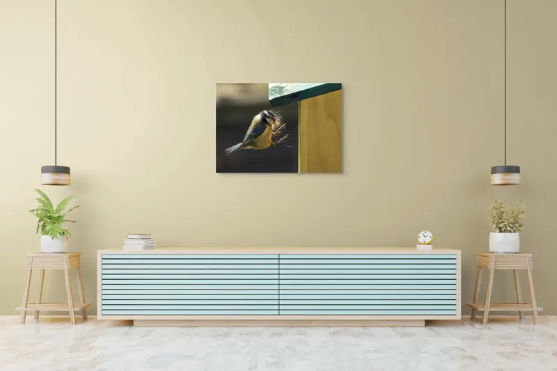 Tablou Canvas, "Pasărea își construiește cuibul perfect", Pene, Zbor, Cuib, Culori, Pasare, Constructie, Natura, Prindere, 100 x 70 cm – poza 4