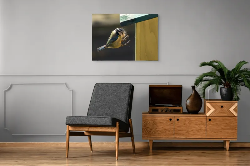 Tablou Canvas, "Pasărea își construiește cuibul perfect", Pene, Zbor, Cuib, Culori, Pasare, Constructie, Natura, Prindere, 100 x 70 cm – poza 8