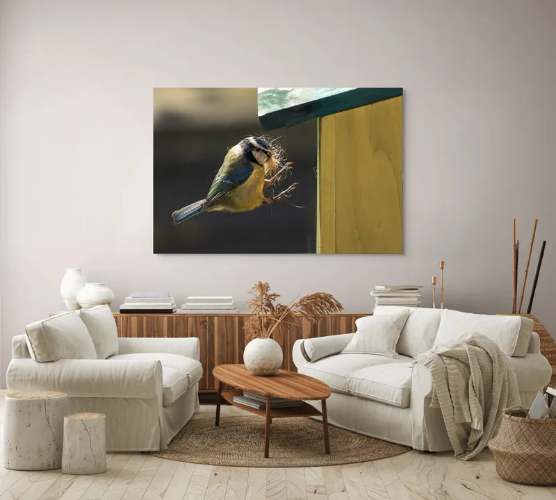 Tablou Canvas, "Pasărea își construiește cuibul perfect", Pene, Zbor, Cuib, Culori, Pasare, Constructie, Natura, Prindere, 150 x 100 cm – poza 3