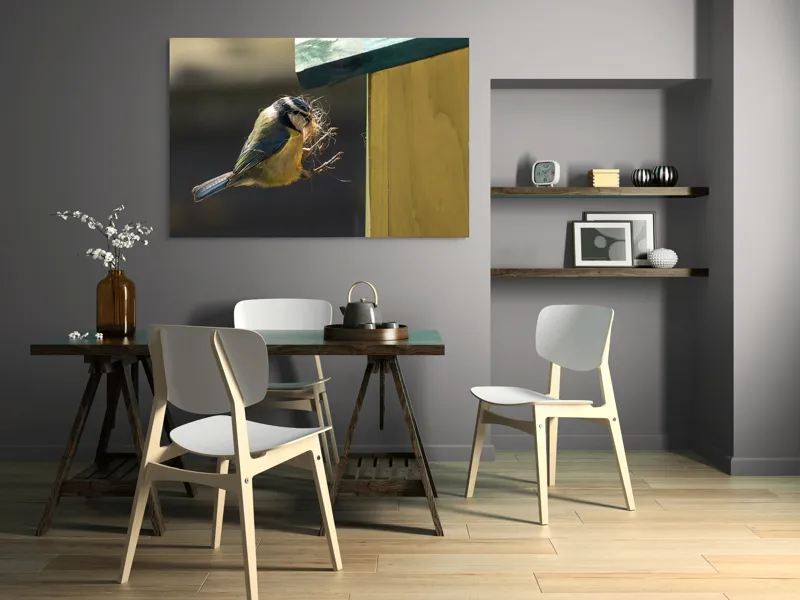 Tablou Canvas, "Pasărea își construiește cuibul perfect", Pene, Zbor, Cuib, Culori, Pasare, Constructie, Natura, Prindere, 150 x 100 cm – poza 5
