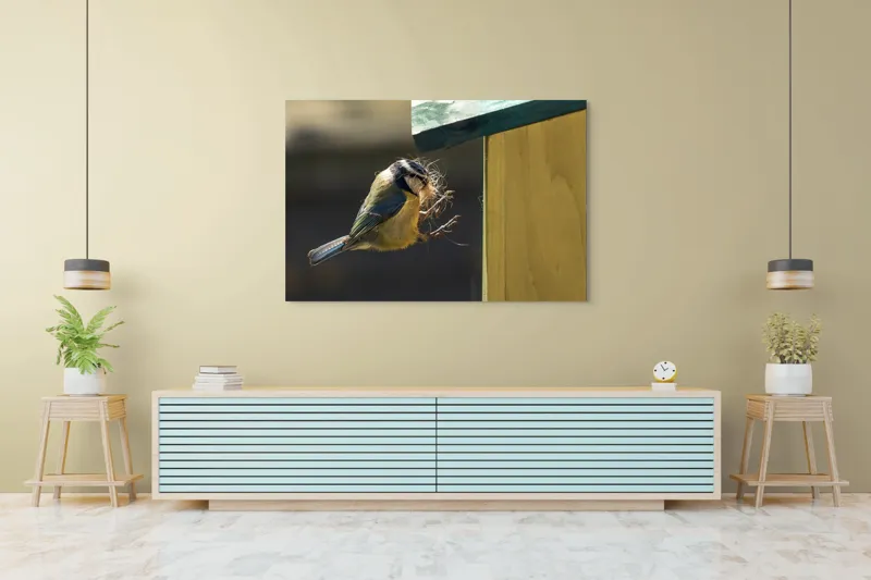 Tablou Canvas, "Pasărea își construiește cuibul perfect", Pene, Zbor, Cuib, Culori, Pasare, Constructie, Natura, Prindere, 150 x 100 cm – poza 6