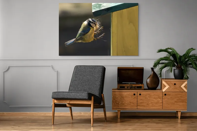 Tablou Canvas, "Pasărea își construiește cuibul perfect", Pene, Zbor, Cuib, Culori, Pasare, Constructie, Natura, Prindere, 150 x 100 cm – poza 8