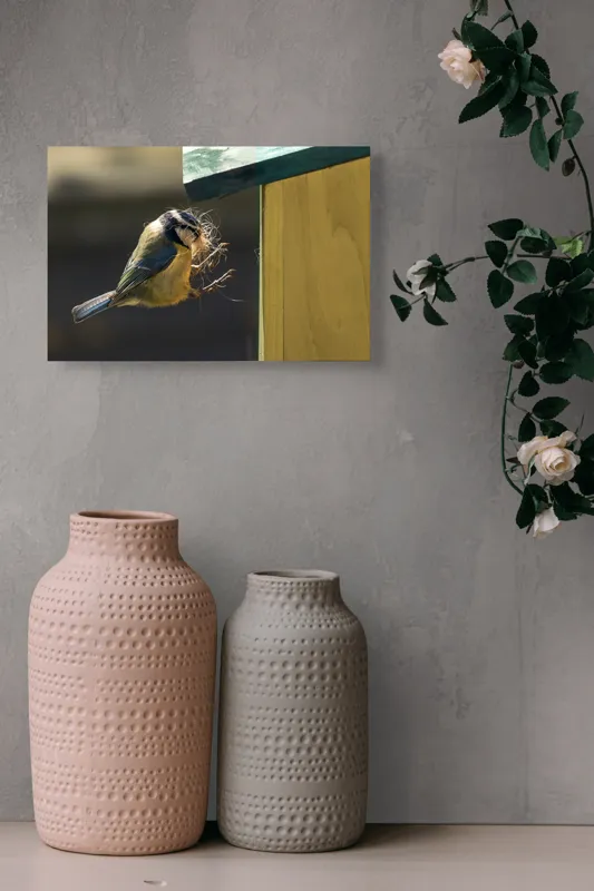 Tablou Canvas, "Pasărea își construiește cuibul perfect", Pene, Zbor, Cuib, Culori, Pasare, Constructie, Natura, Prindere, 39 x 26 cm – poza 4