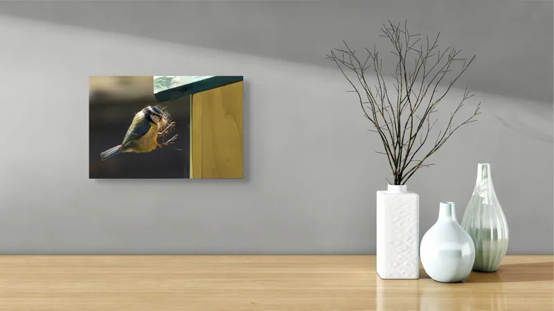 Tablou Canvas, "Pasărea își construiește cuibul perfect", Pene, Zbor, Cuib, Culori, Pasare, Constructie, Natura, Prindere, 39 x 26 cm – poza 8