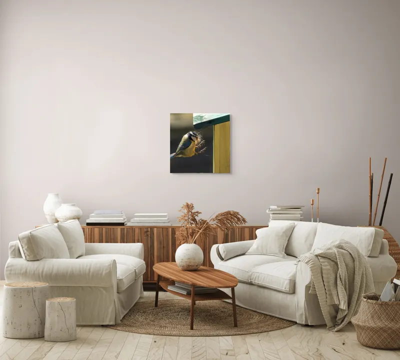 Tablou Canvas, "Pasărea își construiește cuibul perfect", Pene, Zbor, Cuib, Culori, Pasare, Constructie, Natura, Prindere, 50 x 50 cm – poza 7