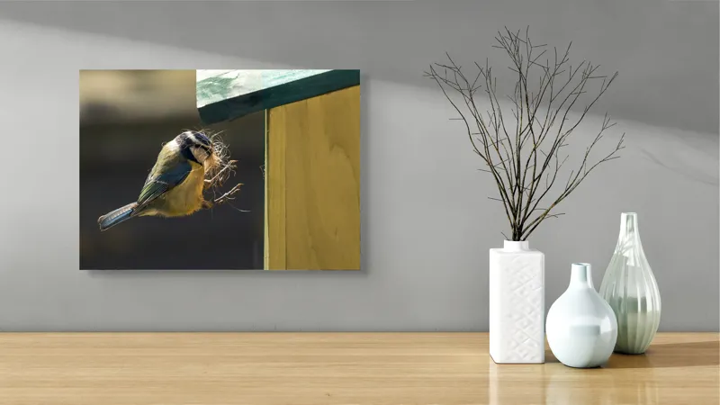 Tablou Canvas, "Pasărea își construiește cuibul perfect", Pene, Zbor, Cuib, Culori, Pasare, Constructie, Natura, Prindere, 54 x 39 cm – poza 3