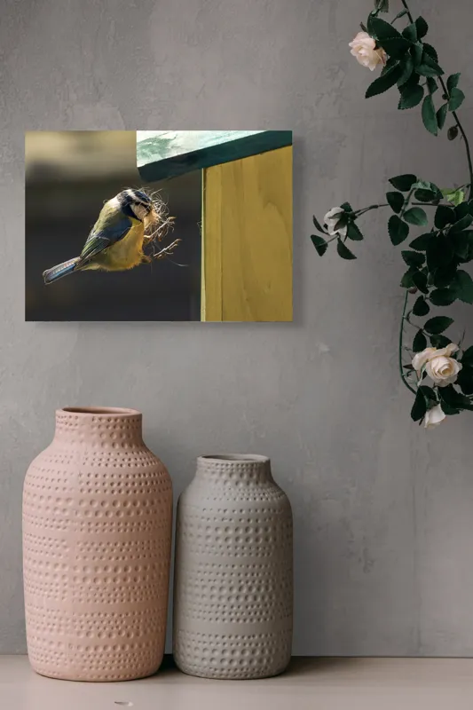 Tablou Canvas, "Pasărea își construiește cuibul perfect", Pene, Zbor, Cuib, Culori, Pasare, Constructie, Natura, Prindere, 54 x 39 cm – poza 8