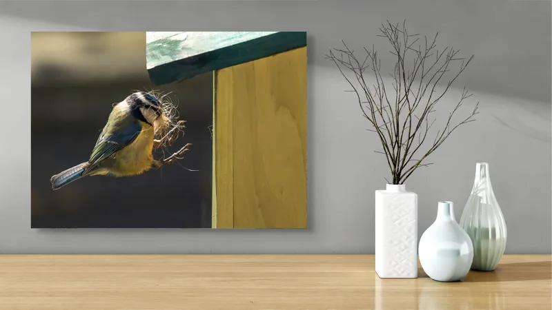 Tablou Canvas, "Pasărea își construiește cuibul perfect", Pene, Zbor, Cuib, Culori, Pasare, Constructie, Natura, Prindere, 70 x 50 cm – poza 3
