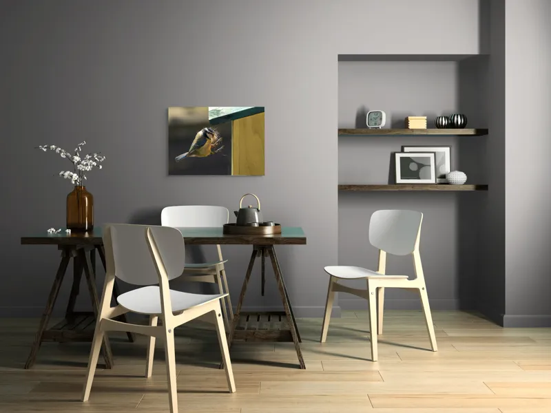 Tablou Canvas, "Pasărea își construiește cuibul perfect", Pene, Zbor, Cuib, Culori, Pasare, Constructie, Natura, Prindere, 70 x 50 cm – poza 5