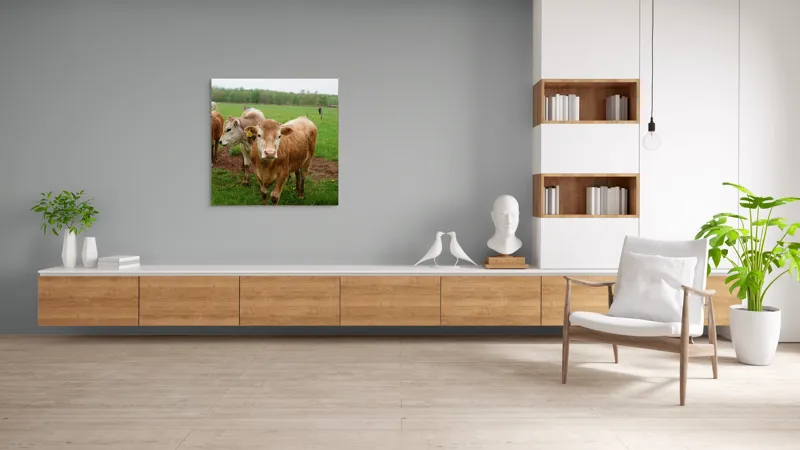 Tablou Canvas, "Vaci pășunând pe câmpie verde", I don't know who they are., 100 x 100 cm – poza 8