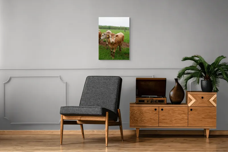 Tablou Canvas, "Vaci pășunând pe câmpie verde", I don't know who they are., 50 x 70 cm – poza 8