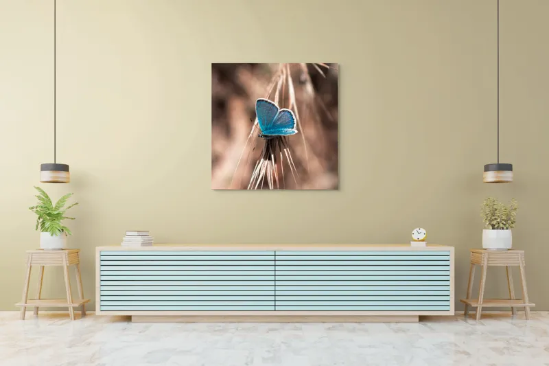 Tablou Canvas, "Albastrul unui fluture delicat", Fluture, Albastru, Fragil, Natură, Secară, Lumină, Contrast, Aripi, Delicatețe, Solitudine, 100 x 100 cm – poza 5