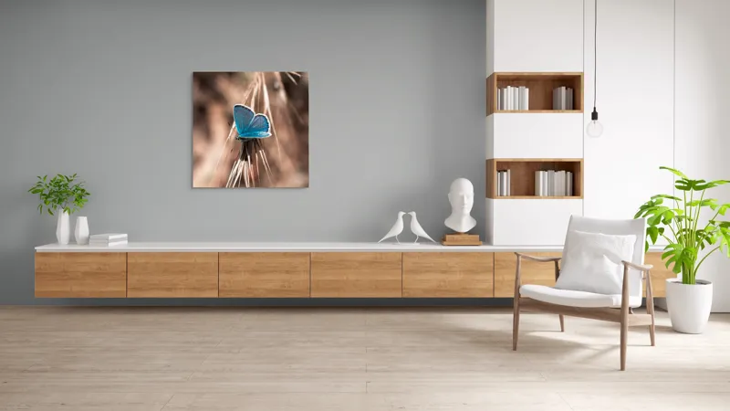 Tablou Canvas, "Albastrul unui fluture delicat", Fluture, Albastru, Fragil, Natură, Secară, Lumină, Contrast, Aripi, Delicatețe, Solitudine, 100 x 100 cm – poza 8