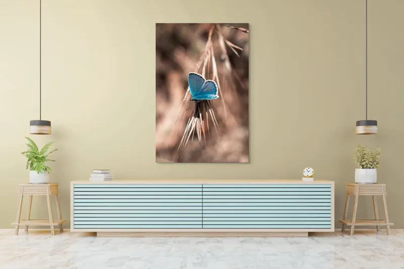 Tablou Canvas, "Albastrul unui fluture delicat", Fluture, Albastru, Fragil, Natură, Secară, Lumină, Contrast, Aripi, Delicatețe, Solitudine, 100 x 150 cm – poza 4