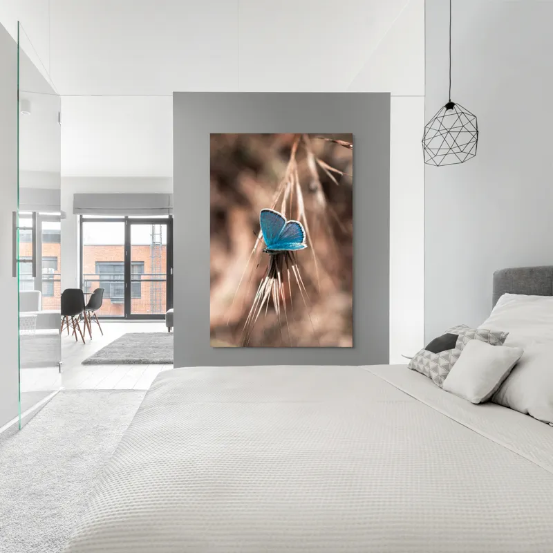 Tablou Canvas, "Albastrul unui fluture delicat", Fluture, Albastru, Fragil, Natură, Secară, Lumină, Contrast, Aripi, Delicatețe, Solitudine, 100 x 150 cm – poza 5