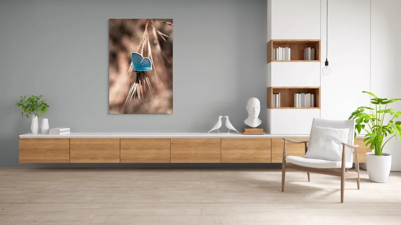 Tablou Canvas, "Albastrul unui fluture delicat", Fluture, Albastru, Fragil, Natură, Secară, Lumină, Contrast, Aripi, Delicatețe, Solitudine, 100 x 150 cm – poza 8