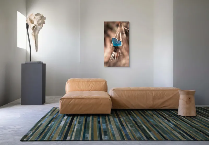 Tablou Canvas, "Albastrul unui fluture delicat", Fluture, Albastru, Fragil, Natură, Secară, Lumină, Contrast, Aripi, Delicatețe, Solitudine, 50 x 90 cm – poza 5