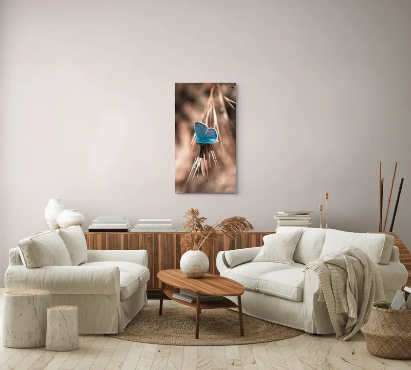 Tablou Canvas, "Albastrul unui fluture delicat", Fluture, Albastru, Fragil, Natură, Secară, Lumină, Contrast, Aripi, Delicatețe, Solitudine, 50 x 90 cm – poza 7