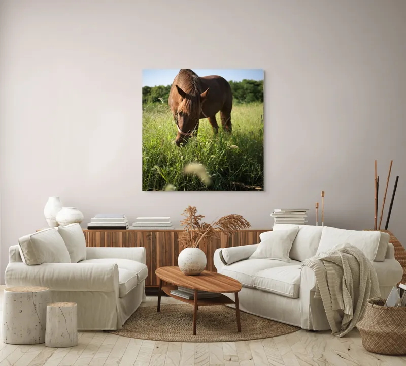 Tablou Canvas, "Cal păscând în lumina dimineții", Cal, Păr, Verdeață, Cer, Căldură, Calm, Natură, Peisaj, Blândețe, Lumină, 100 x 100 cm – poza 3