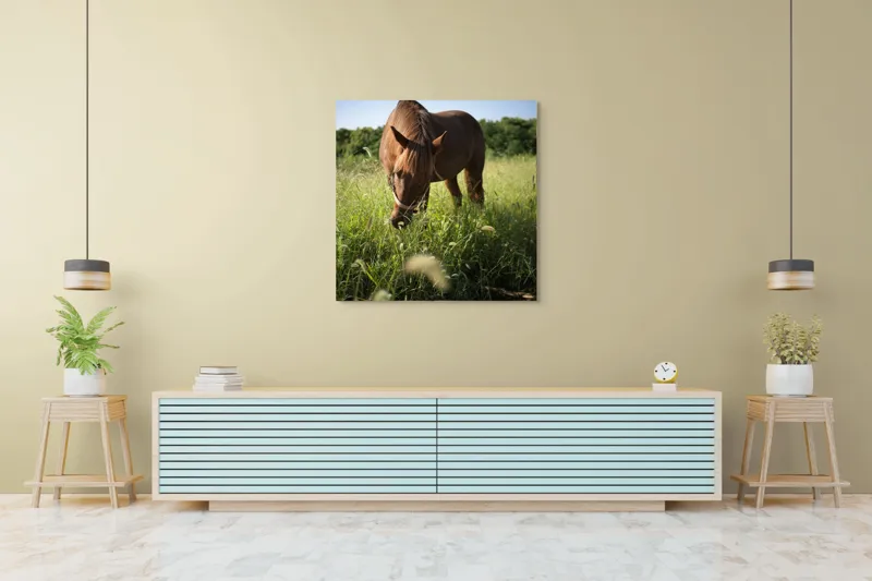 Tablou Canvas, "Cal păscând în lumina dimineții", Cal, Păr, Verdeață, Cer, Căldură, Calm, Natură, Peisaj, Blândețe, Lumină, 100 x 100 cm – poza 5