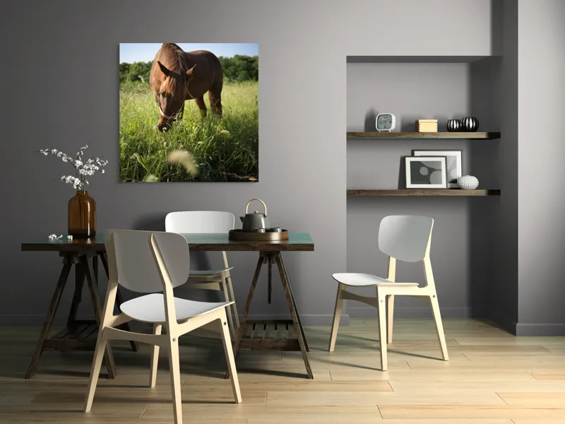Tablou Canvas, "Cal păscând în lumina dimineții", Cal, Păr, Verdeață, Cer, Căldură, Calm, Natură, Peisaj, Blândețe, Lumină, 100 x 100 cm – poza 6