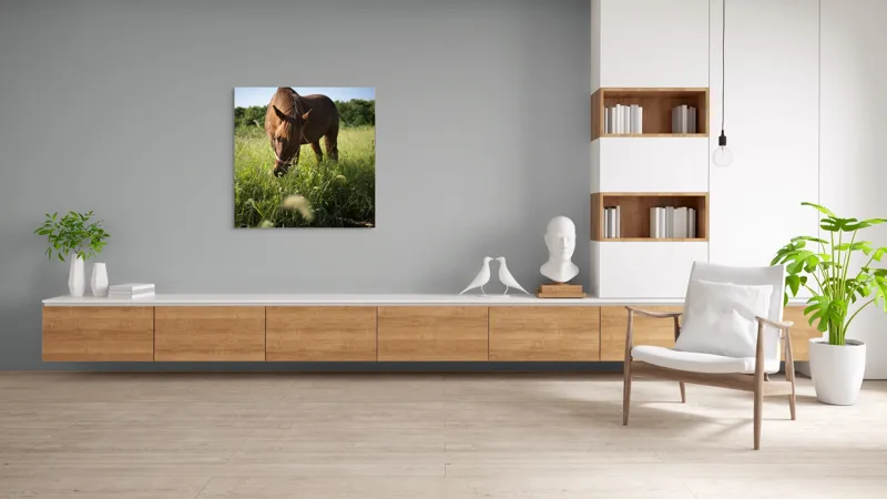Tablou Canvas, "Cal păscând în lumina dimineții", Cal, Păr, Verdeață, Cer, Căldură, Calm, Natură, Peisaj, Blândețe, Lumină, 100 x 100 cm – poza 8
