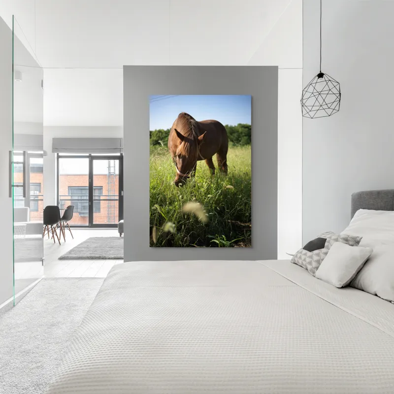Tablou Canvas, "Cal păscând în lumina dimineții", Cal, Păr, Verdeață, Cer, Căldură, Calm, Natură, Peisaj, Blândețe, Lumină, 100 x 150 cm – poza 5