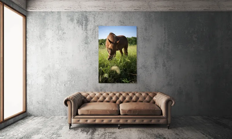 Tablou Canvas, "Cal păscând în lumina dimineții", Cal, Păr, Verdeață, Cer, Căldură, Calm, Natură, Peisaj, Blândețe, Lumină, 100 x 150 cm – poza 6