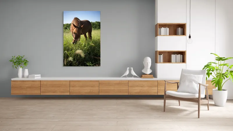 Tablou Canvas, "Cal păscând în lumina dimineții", Cal, Păr, Verdeață, Cer, Căldură, Calm, Natură, Peisaj, Blândețe, Lumină, 100 x 150 cm – poza 8