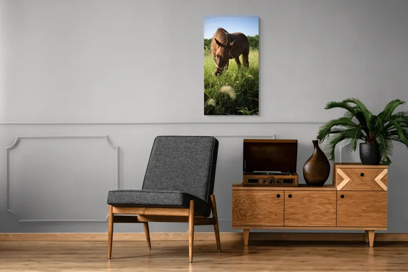 Tablou Canvas, "Cal păscând în lumina dimineții", Cal, Păr, Verdeață, Cer, Căldură, Calm, Natură, Peisaj, Blândețe, Lumină, 50 x 90 cm – poza 8