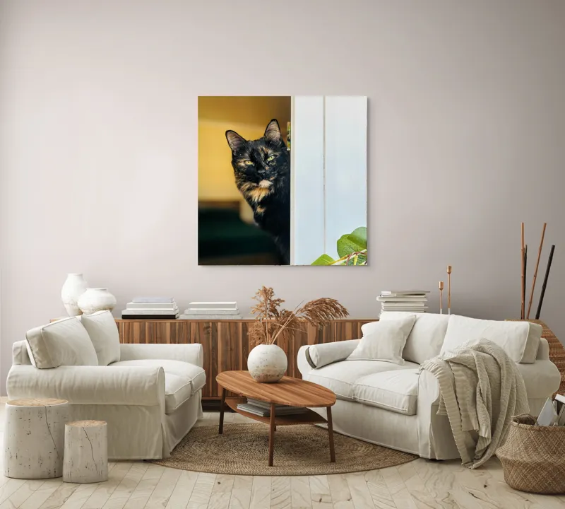 Tablou Canvas, "Pisica misterioasă în pragul ușii", Pisică, Blană, Fereastră, Privire, Curiozitate, Verdeață, Interior, Întuneric, Luminos, Relaxare, 100 x 100 cm – poza 3