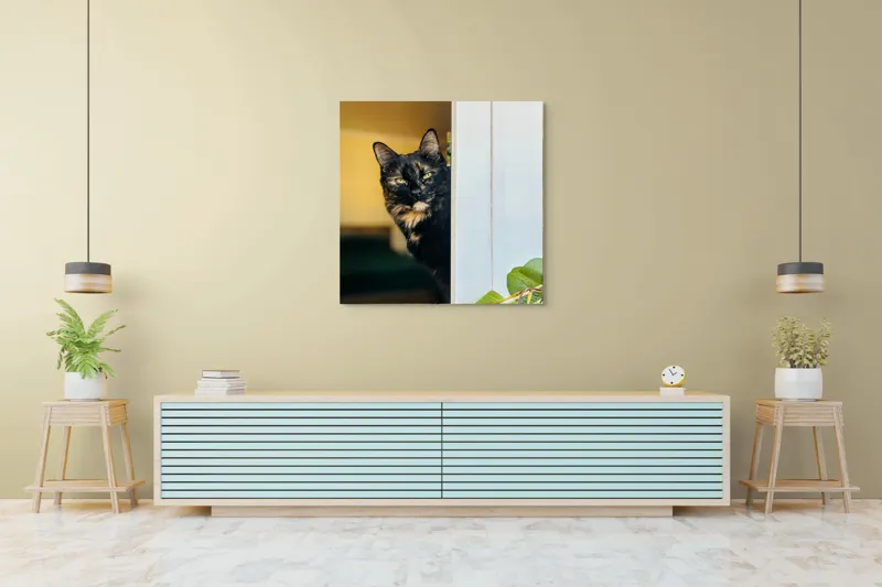 Tablou Canvas, "Pisica misterioasă în pragul ușii", Pisică, Blană, Fereastră, Privire, Curiozitate, Verdeață, Interior, Întuneric, Luminos, Relaxare, 100 x 100 cm – poza 5