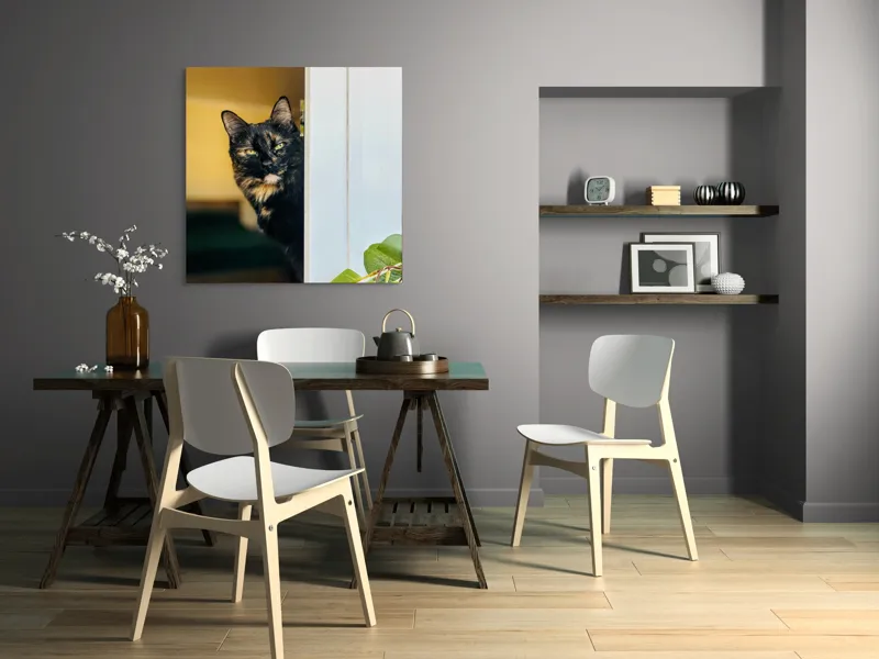 Tablou Canvas, "Pisica misterioasă în pragul ușii", Pisică, Blană, Fereastră, Privire, Curiozitate, Verdeață, Interior, Întuneric, Luminos, Relaxare, 100 x 100 cm – poza 6