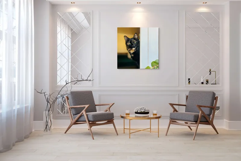 Tablou Canvas, "Pisica misterioasă în pragul ușii", Pisică, Blană, Fereastră, Privire, Curiozitate, Verdeață, Interior, Întuneric, Luminos, Relaxare, 100 x 100 cm – poza 7