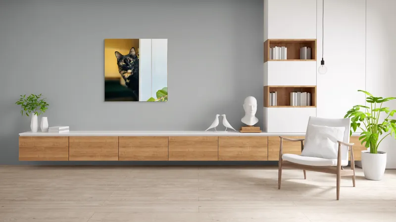 Tablou Canvas, "Pisica misterioasă în pragul ușii", Pisică, Blană, Fereastră, Privire, Curiozitate, Verdeață, Interior, Întuneric, Luminos, Relaxare, 100 x 100 cm – poza 8