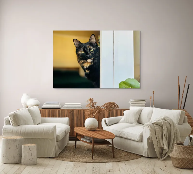 Tablou Canvas, "Pisica misterioasă în pragul ușii", Pisică, Blană, Fereastră, Privire, Curiozitate, Verdeață, Interior, Întuneric, Luminos, Relaxare, 150 x 100 cm – poza 3
