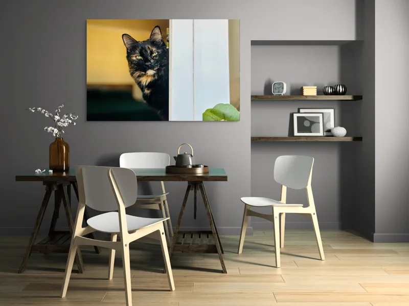 Tablou Canvas, "Pisica misterioasă în pragul ușii", Pisică, Blană, Fereastră, Privire, Curiozitate, Verdeață, Interior, Întuneric, Luminos, Relaxare, 150 x 100 cm – poza 5