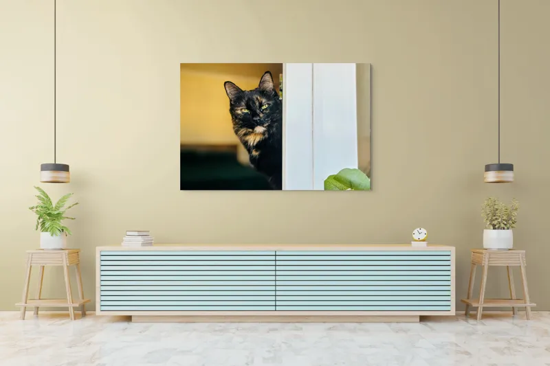 Tablou Canvas, "Pisica misterioasă în pragul ușii", Pisică, Blană, Fereastră, Privire, Curiozitate, Verdeață, Interior, Întuneric, Luminos, Relaxare, 150 x 100 cm – poza 6
